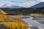 USA-Alaska-Chugach National Forest Autumn landscape with mountains and Matanuska River Art Print